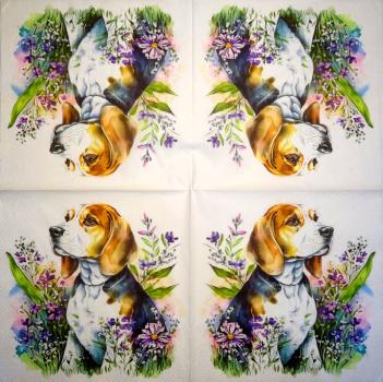 927 Hunde - 3-lagig - Specials